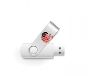 usbstick mit logo